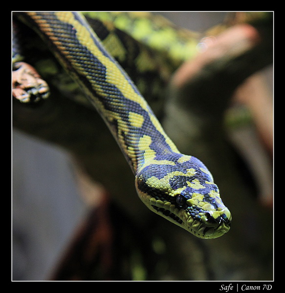 2012 - 06 - Dubai - 148